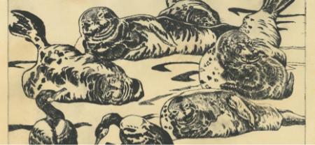 Lidt om min nye bog - Vadehavets stemme (2025) Lidt om min nye bog - Vadehavets stemme (2025)