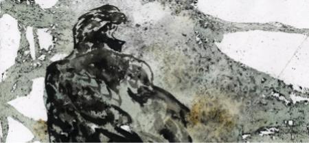 Havørne i kul Havørne i kul