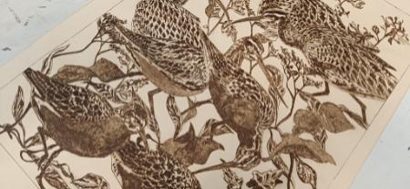 The Idea of Wilderness   The Idea of Wilderness