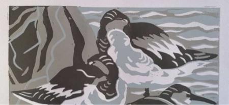 Linotryk af Rødben Linotryk af Rødben